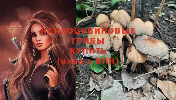 спайс Волоколамск