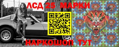 Альфа ПВП Донской