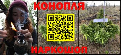 Альфа ПВП Донской