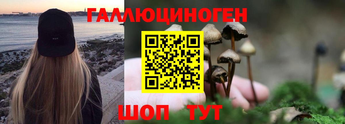 Псилоцибиновые грибы MAGIC MUSHROOMS  Псилоцибиновые грибы Psilocybe  Вход с VPN  Можайск 