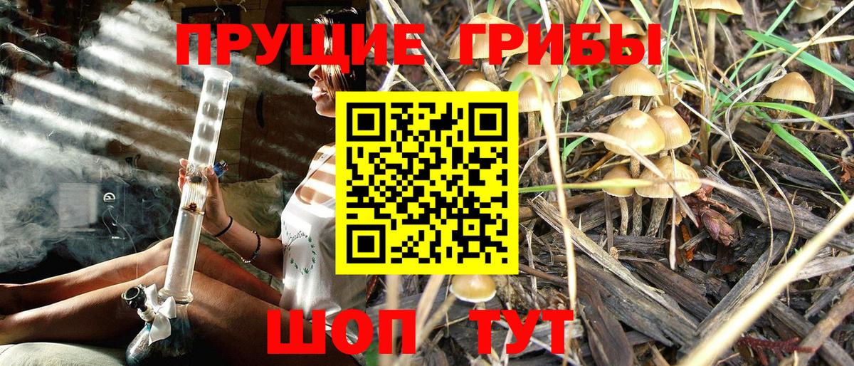 Галлюциногенные грибы ЛСД Можайск